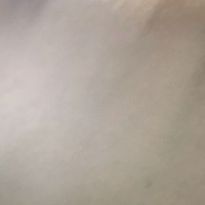 Meet your Posher, Nyriesha